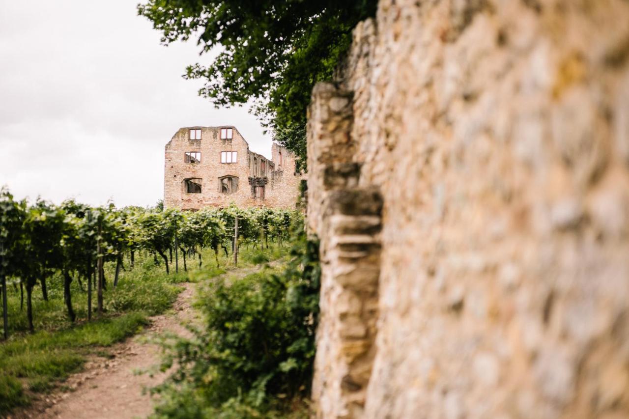 Weinzuhause Hotel-Restaurant-Vinothek Mommenheim Exteriör bild