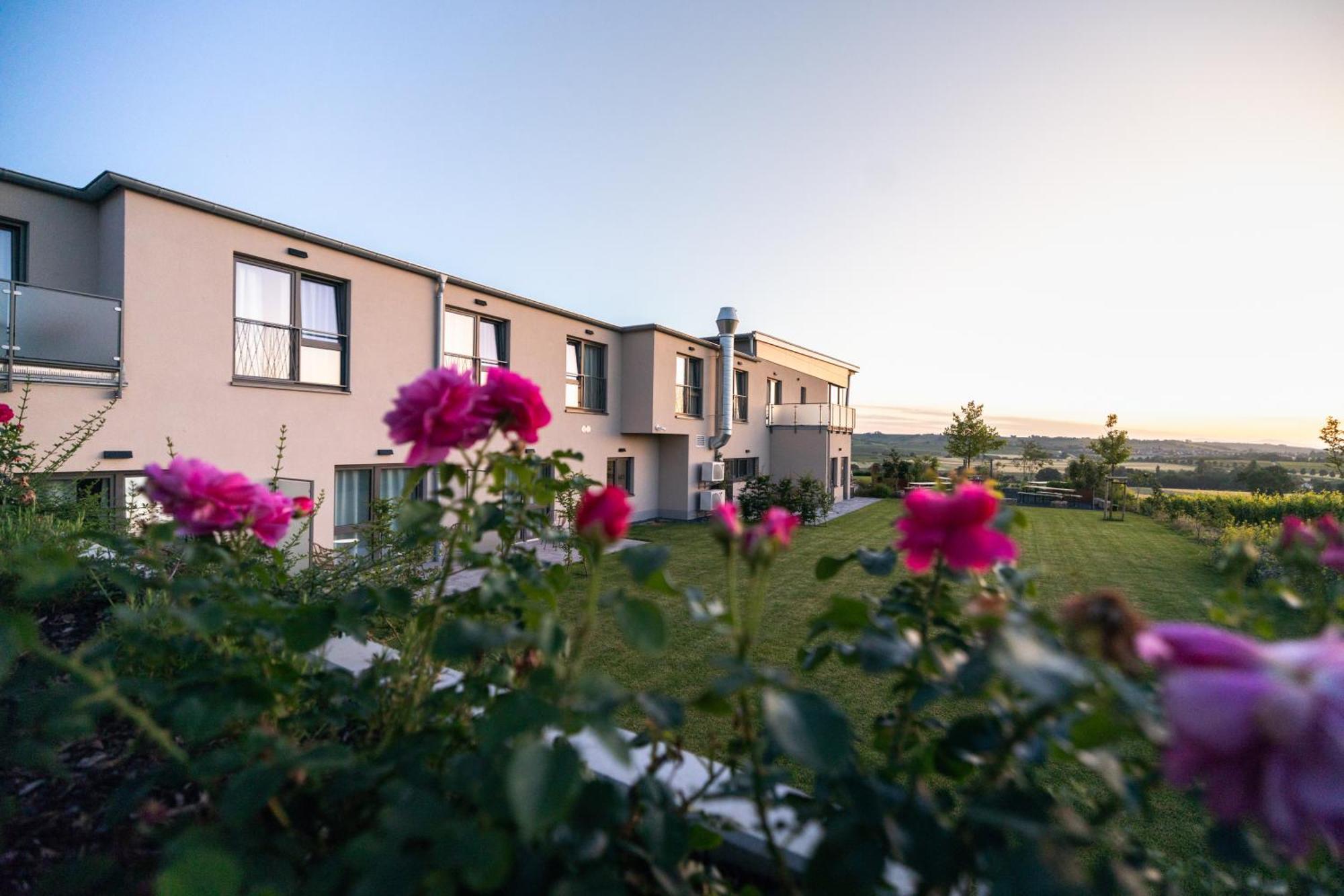 Weinzuhause Hotel-Restaurant-Vinothek Mommenheim Exteriör bild